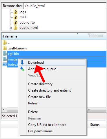 how to use filezilla client with napalm ftp indexer